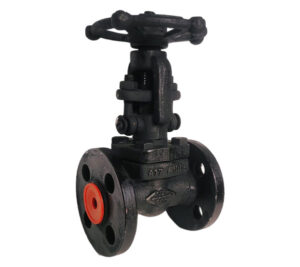 Forge-Globe-valves-Flange-end