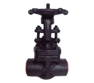 Forge-Globe-valves-Screwed-end